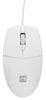 MOUSE natec NMY-1988 USB Type-A Optical WHITE