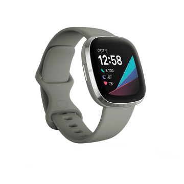 ORE FITBIT SMART SENSE SAGE GREY/SILVER